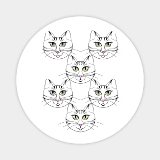 Cat cats and more cats Magnet